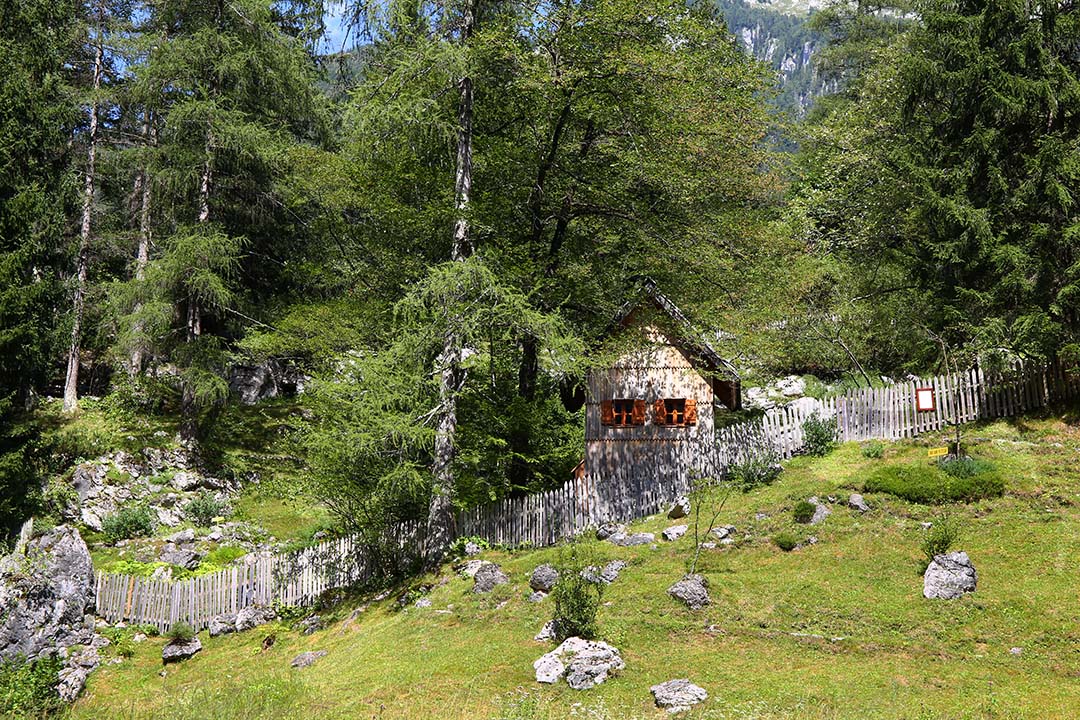 Vrt  vzdržuje Prirodoslovni muzej Slovenije in tu je vstopna točka.